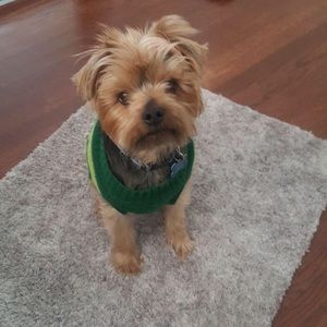 Meet your Posher, Ruby